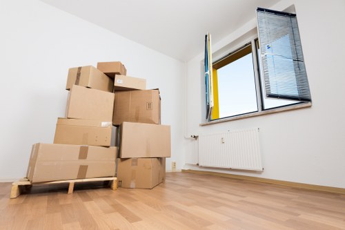Chelsea moving boxes and storage planning setup