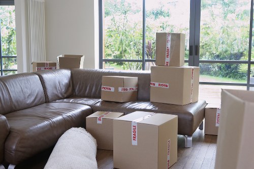Practical Chelsea storage solution for seasonal and long-term needs