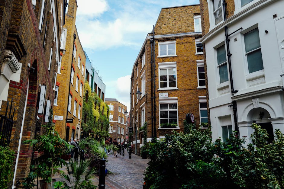 A residential street scene displaying a row of Victorian-style terraced houses with brick facades, some featuring white decorative trim around the windows and doorways. The houses are separated by bri
